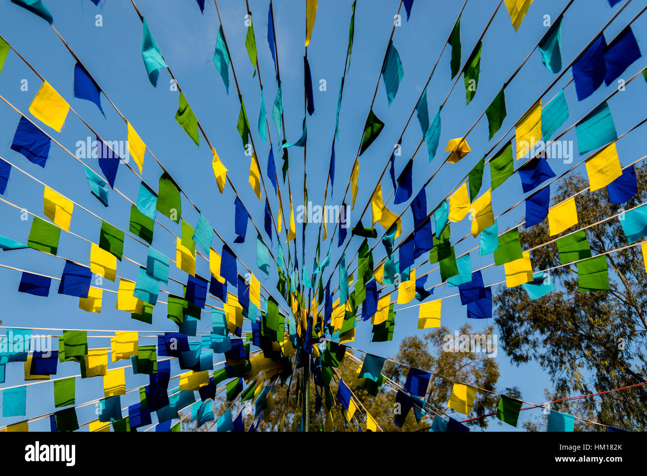 Beautiful colorful flags decoration during a Buddhist festival in India. Stock Photo