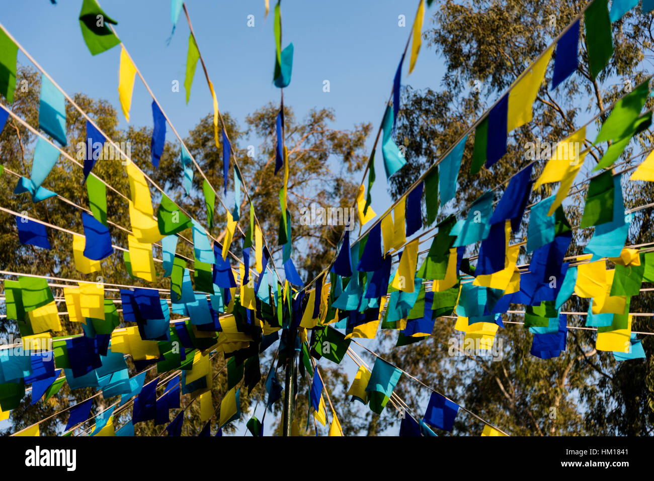Beautiful colorful flags decoration during a Buddhist festival in India. Stock Photo
