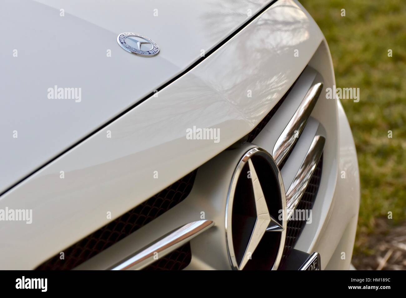 A Mercedes Benz emblem on a white Mercedes Benz C-300 Stock Photo