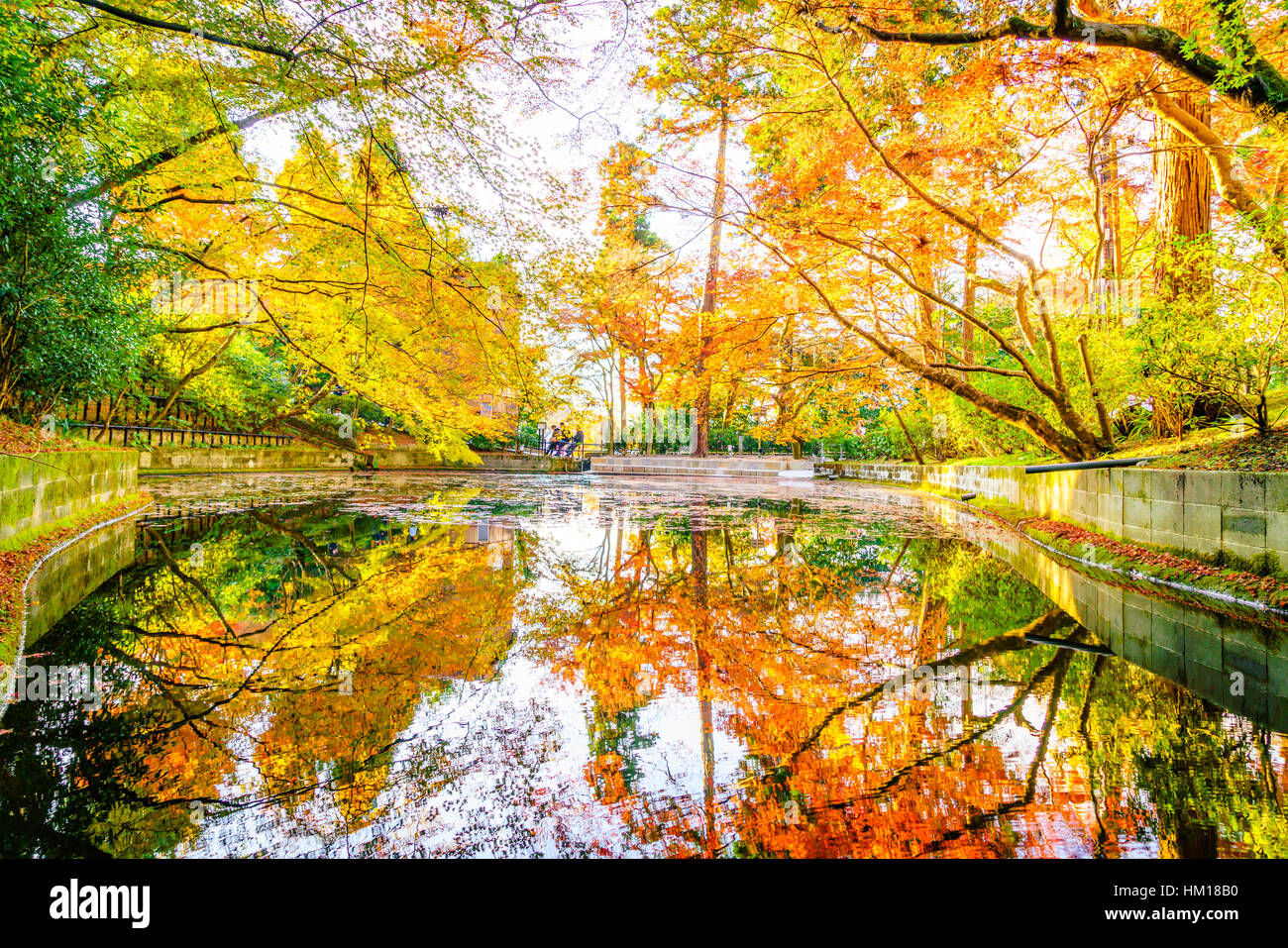 Autumn forest with river Stock Photo - Alamy