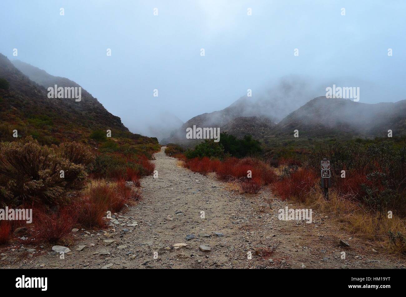 Foggy Trail, Deukmejian Wilderness Park, Glendale, California Stock Photo