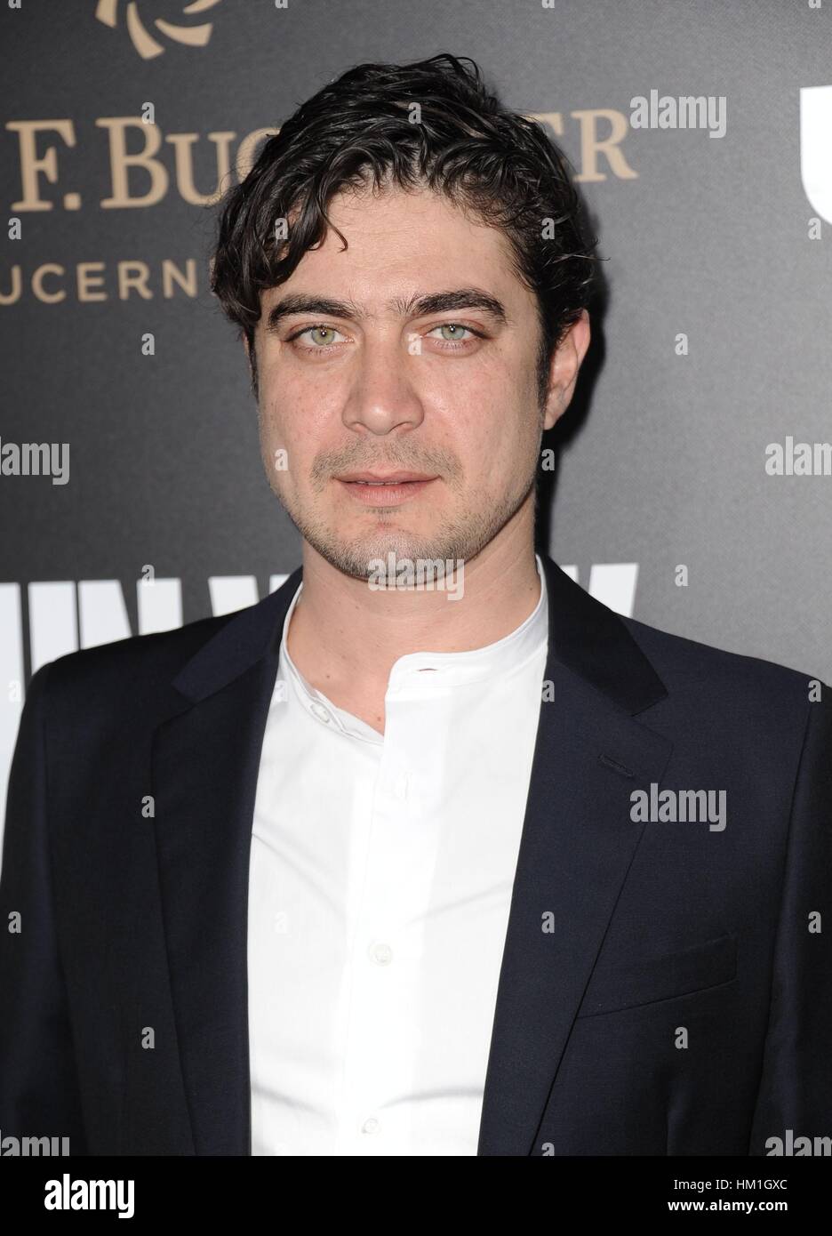 Los Angeles, CA, USA. 30th Jan, 2017. Riccardo Scamarcio at arrivals for JOHN WICK: CHAPTER TWO Premiere, Arclight Hollywood, Los Angeles, CA January 30, 2017. Credit: Dee Cercone/Everett Collection/Alamy Live News Stock Photo