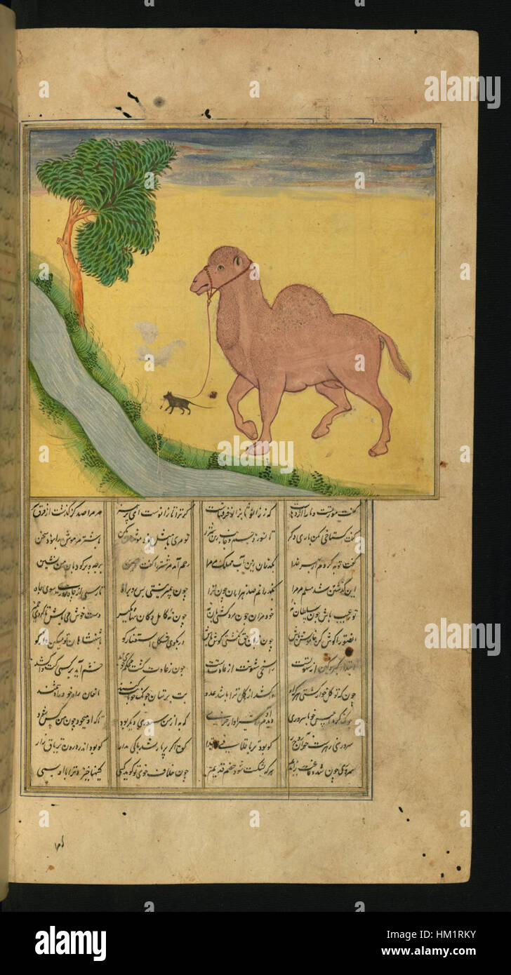 Jalal al-Din Rumi, Maulana - A Mouse, Clutching the Reins of a Camel, at a Stream of Water - Walters W62694B - Full Page Stock Photo