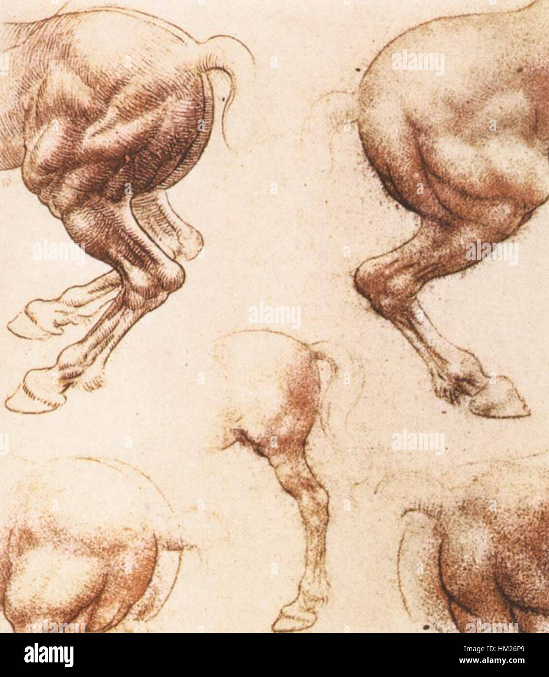 this-study-by-leonardo-da-vinci-showcases-his-detailed-exploration-of