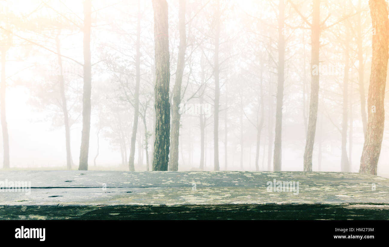 Wood table in forest tree during a foggy day ( Filtered image processed
