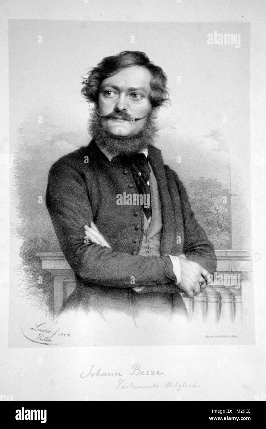 This lithograph by Johann Besze is a classic example of 19th-century ...