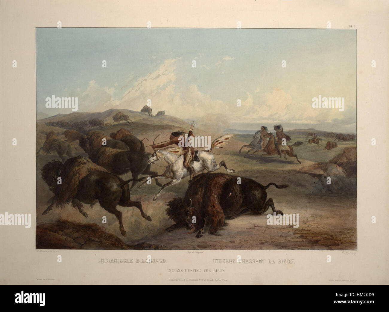 Indians hunting hi-res stock photography and images - Alamy