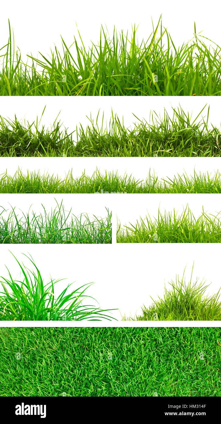 Backgrounds of fresh spring green grass Isolated On White Stock Photo ...