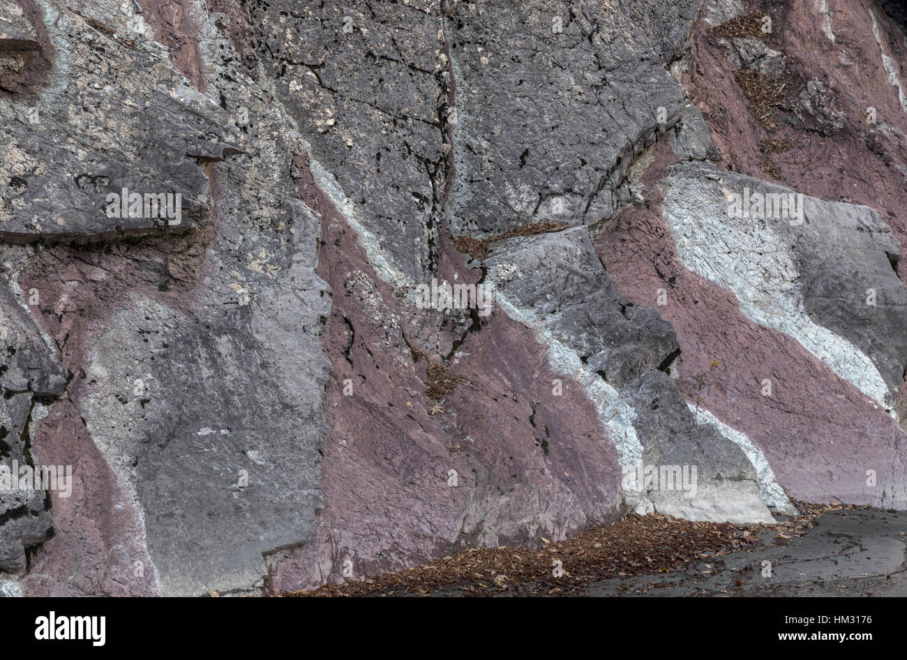 Intercalated Rocks Beautifully stratified and folded coloured rocks, made up of flysch ...