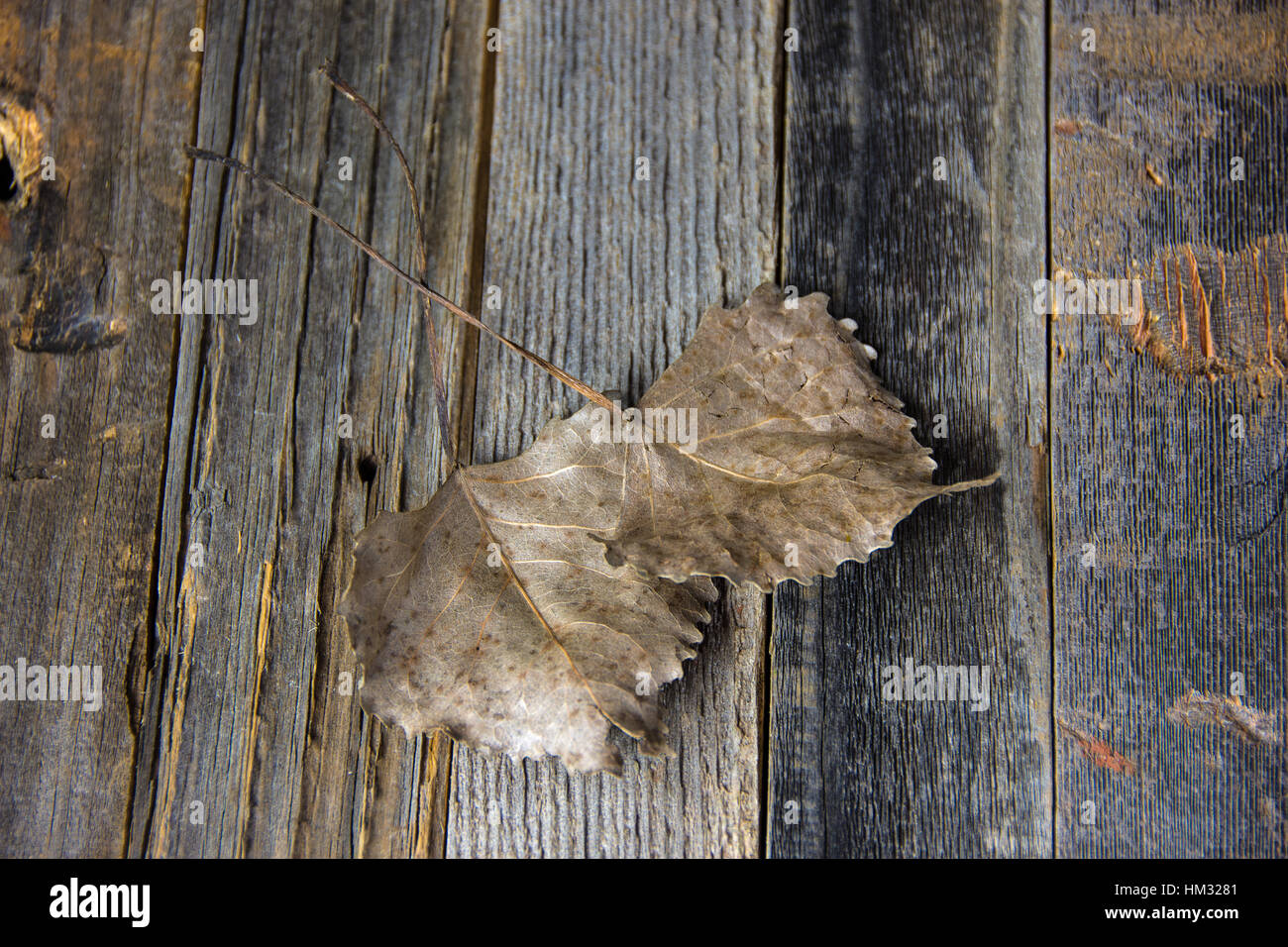 brittle heart shaped leaves on rustic wood Stock Photo Alamy