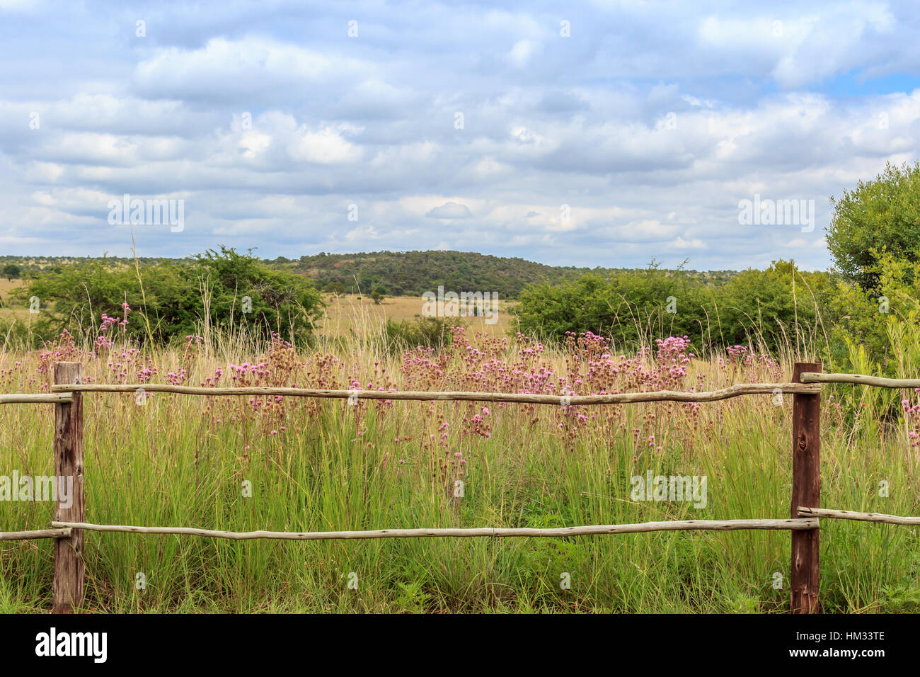 Landscape fence hi-res stock photography and images - Alamy