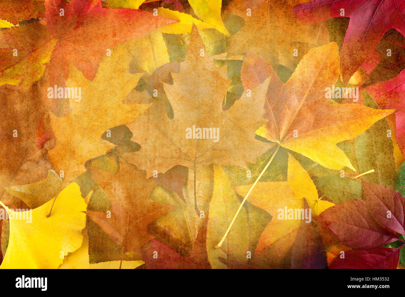 background autumnal with multicolored leaves Stock Photo