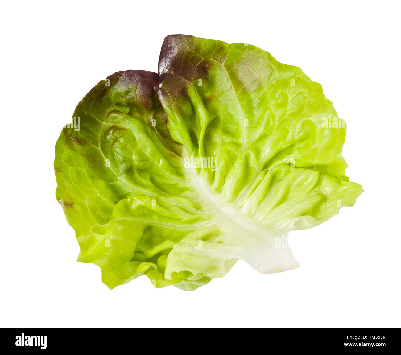 lettuce leaf isolated on white Stock Photo Alamy