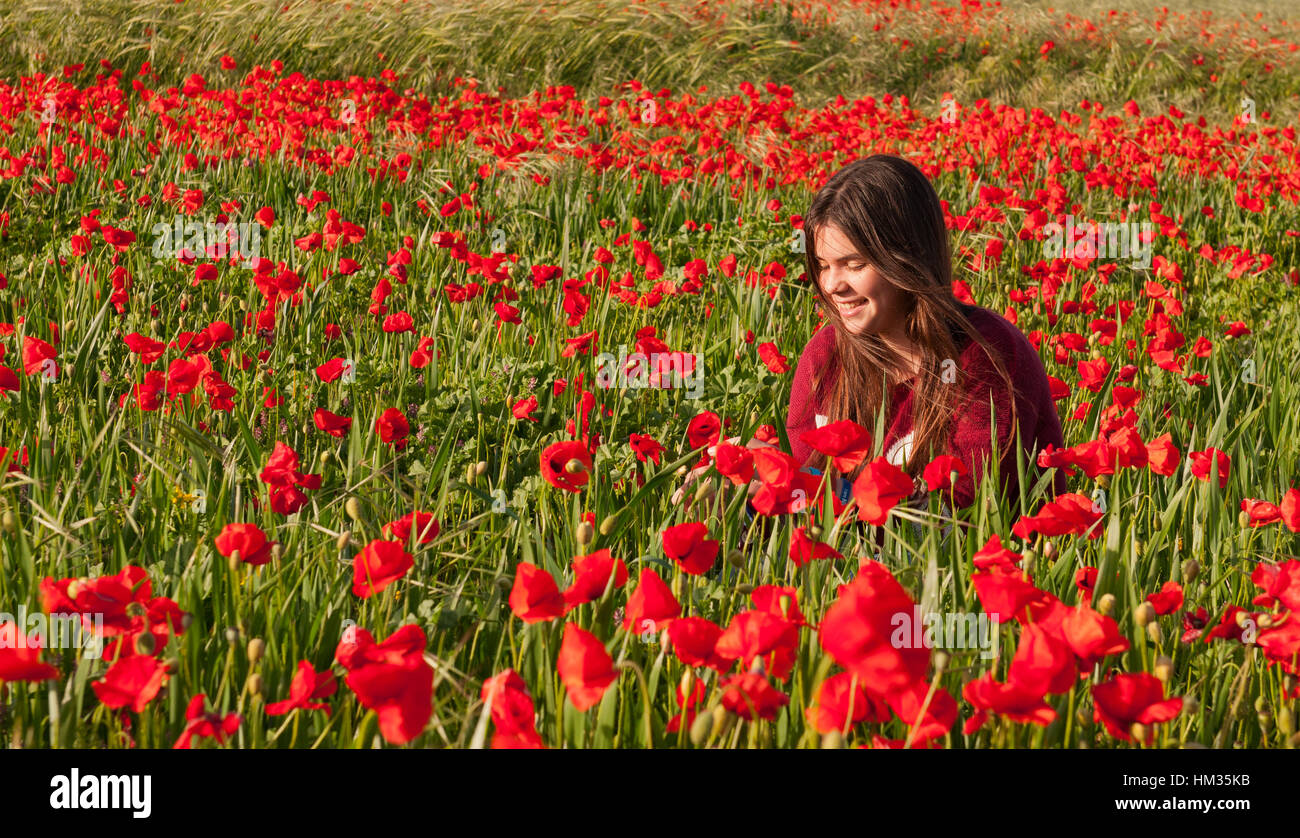 Happy smiling teenage girl sitting in a red poppy anemone flower field enjoying  and smelling the flowers. Stock Photo