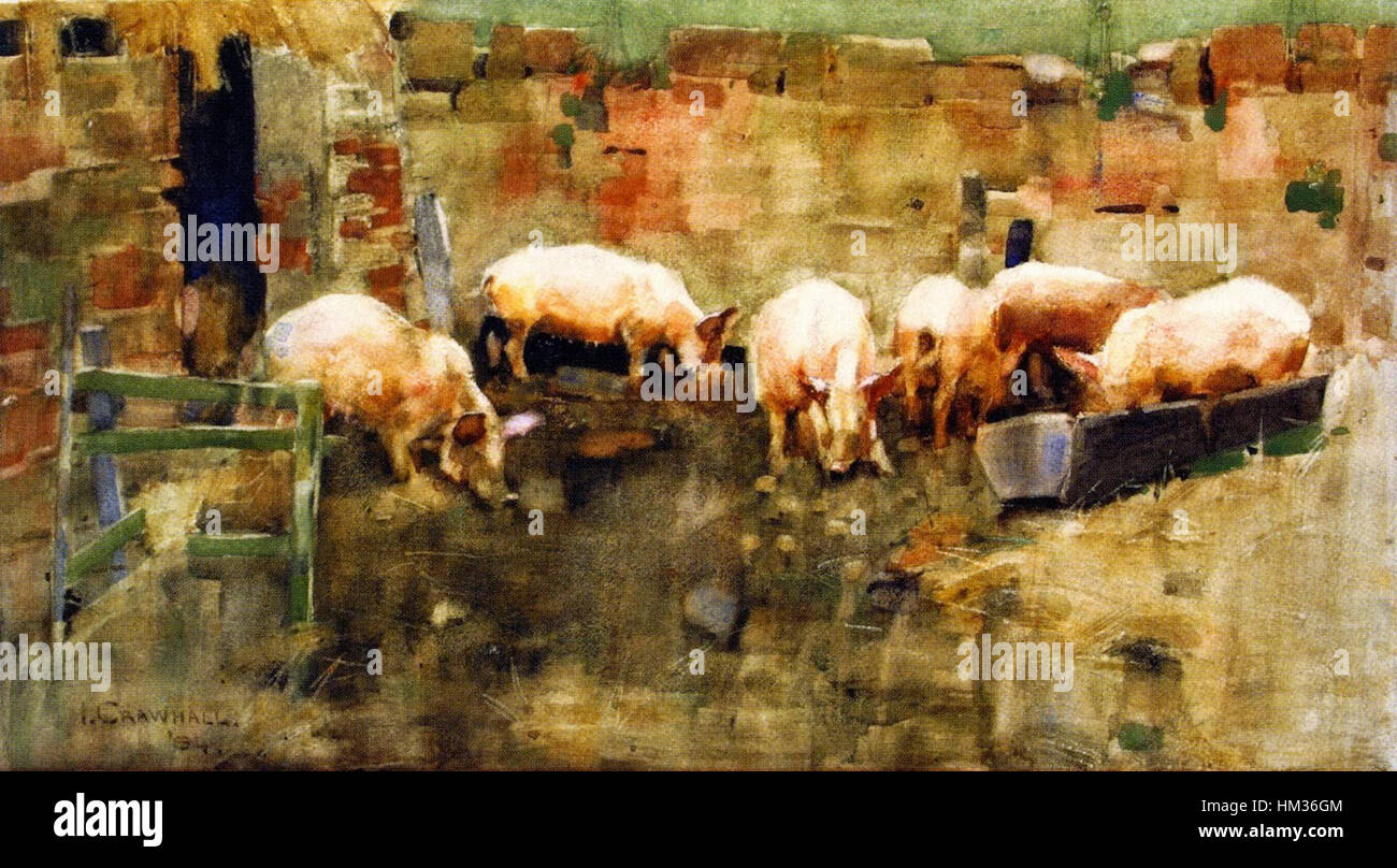 Joseph Crawhall, 1884 Pigs at the Trough Stock Photo Alamy