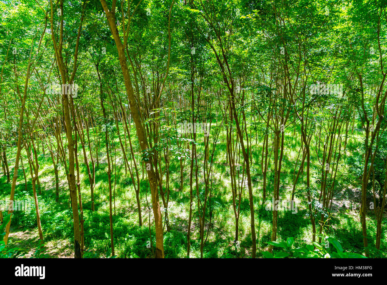 Para resources hi-res stock photography and images - Alamy