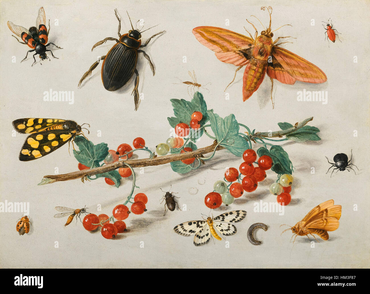 Jan Van Kessel s A Sprig Of Redcurrants Is A Naturalistic Still Life jan-van-kessel-s-a-sprig-of-redcurrants-is-a-naturalistic-still-life