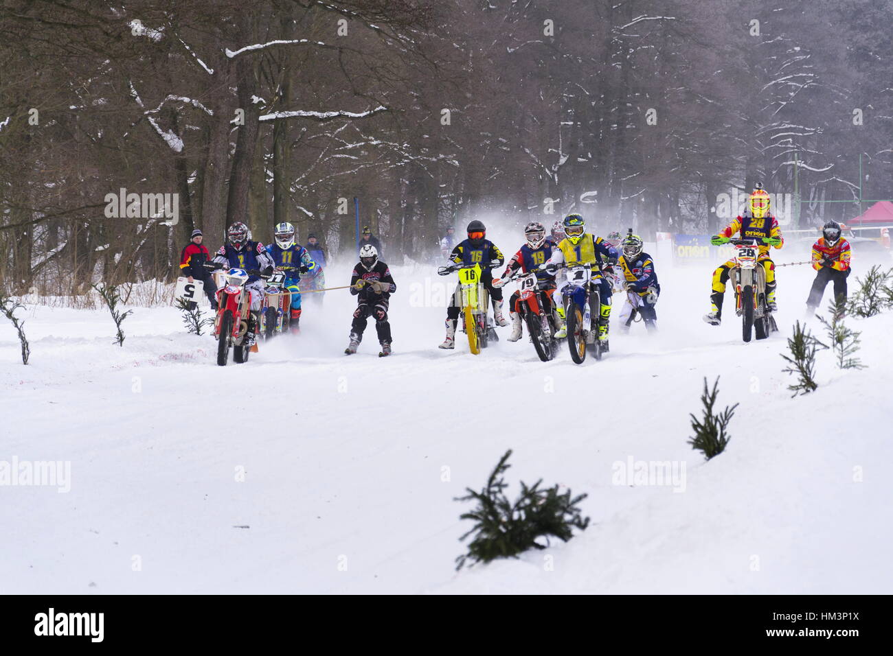 Motorcycle skijoring racers ride on track of Czech championship competition on January 29, 2017 in Klasterec nad Orlici, Czech republic. Stock Photo