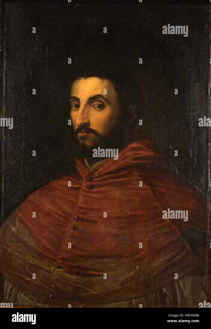 Ippolito de' Medici cardenal Stock Photo