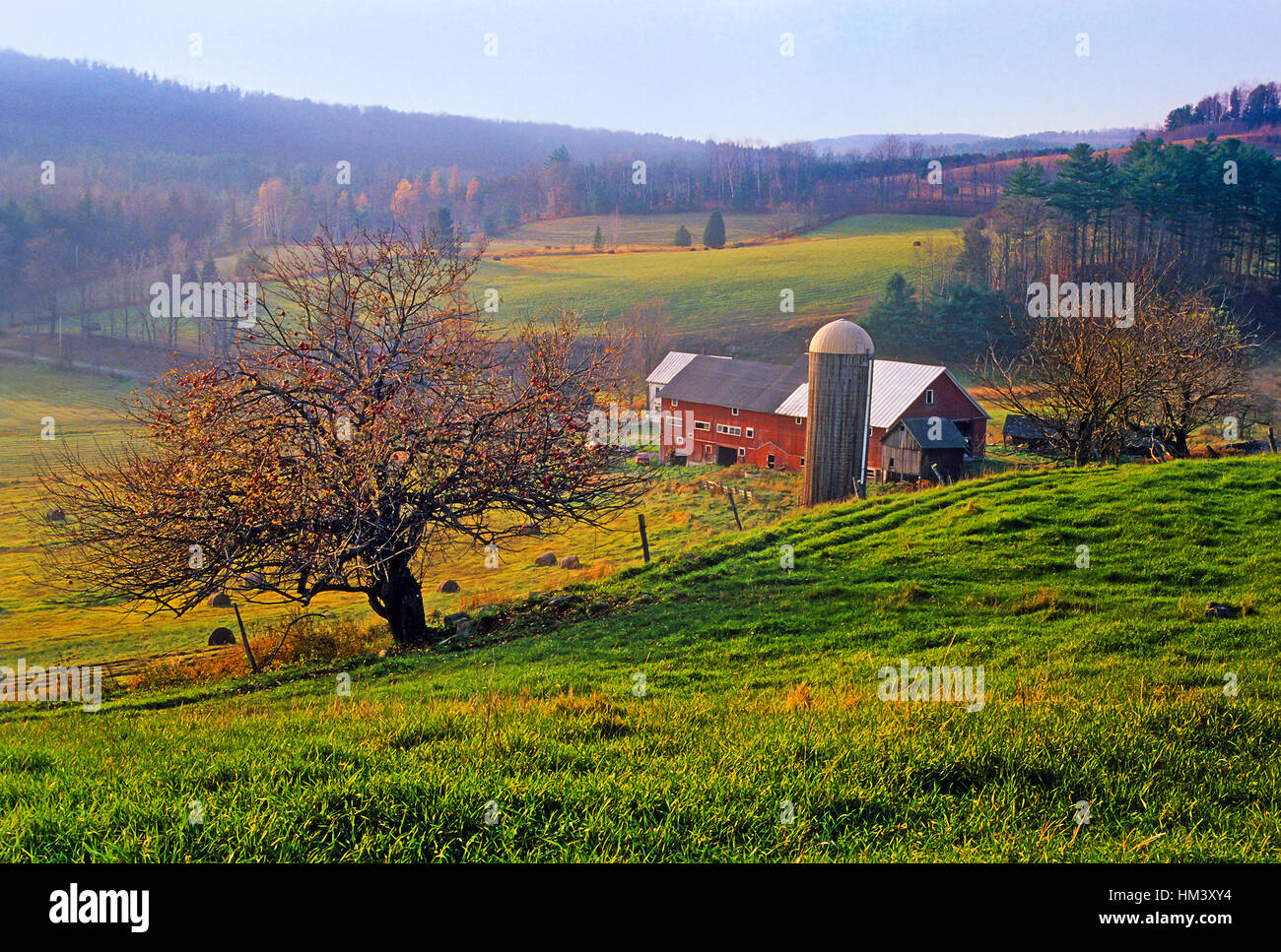 Farm fields with a red barn, silo and apple trees in rural Vermont, USA Stock Photo Alamy