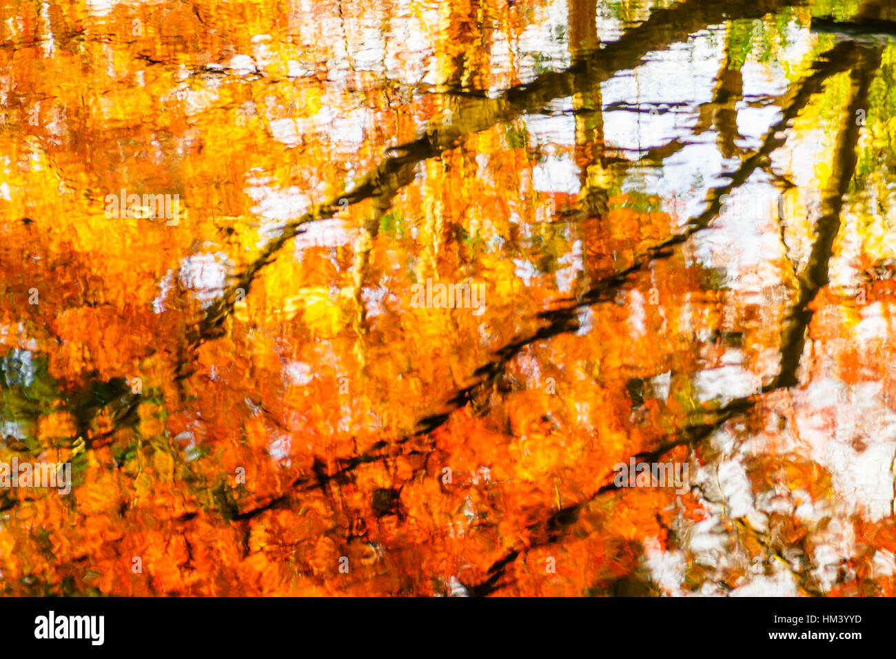 Colorful Autumn trees reflected in water Stock Photo - Alamy