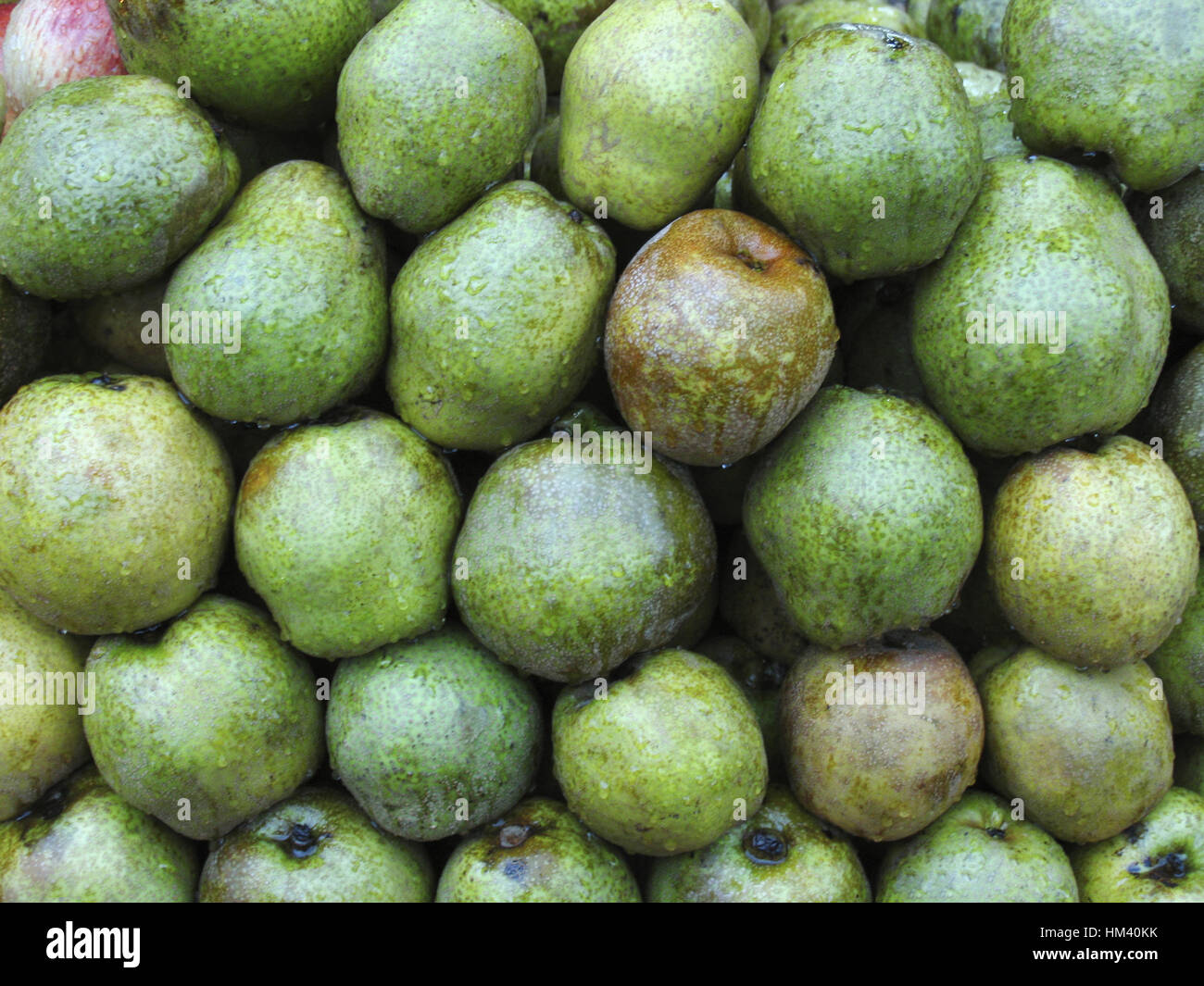 Pyrus communes sweet juicy green fruit mainly cultivated in Europe and North America There are thousands of cultivars of these three species. Stock Photo