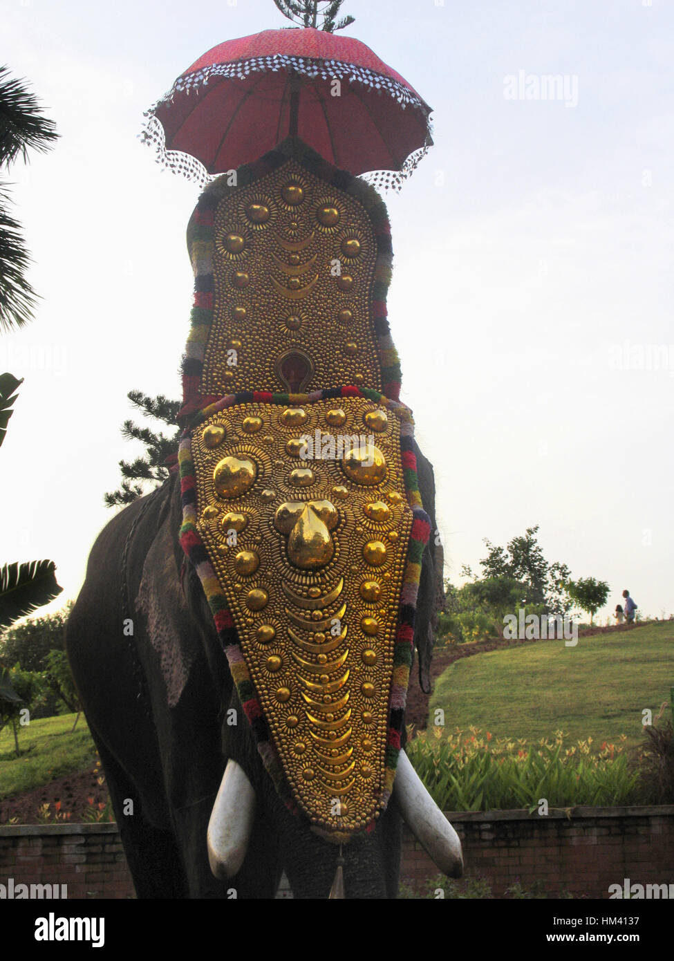 Trivandrum onam hires stock photography and images Alamy