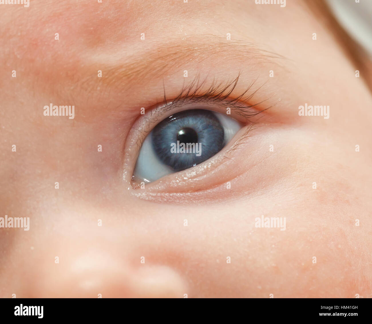 Closeup of newborn blue eye. Macro in the iris and pupil Stock Photo