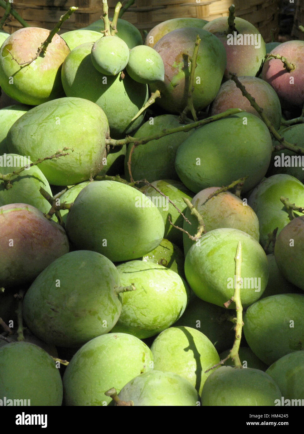 Heaps of raw mangoes on floor Stock Photo Alamy