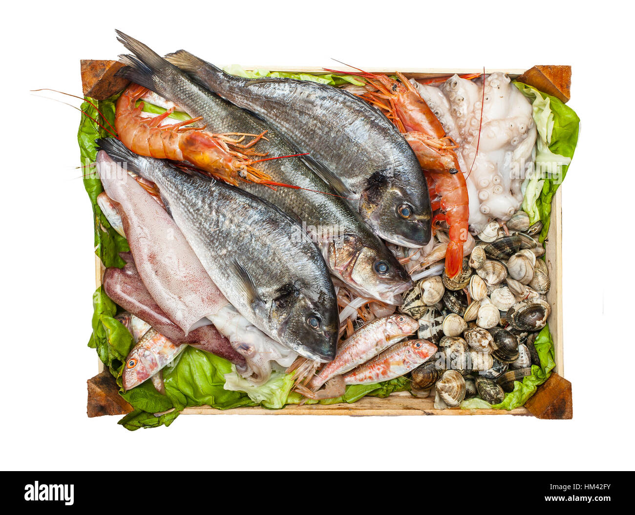 Box of fresh fish and clams isolated on white background. Stock Photo