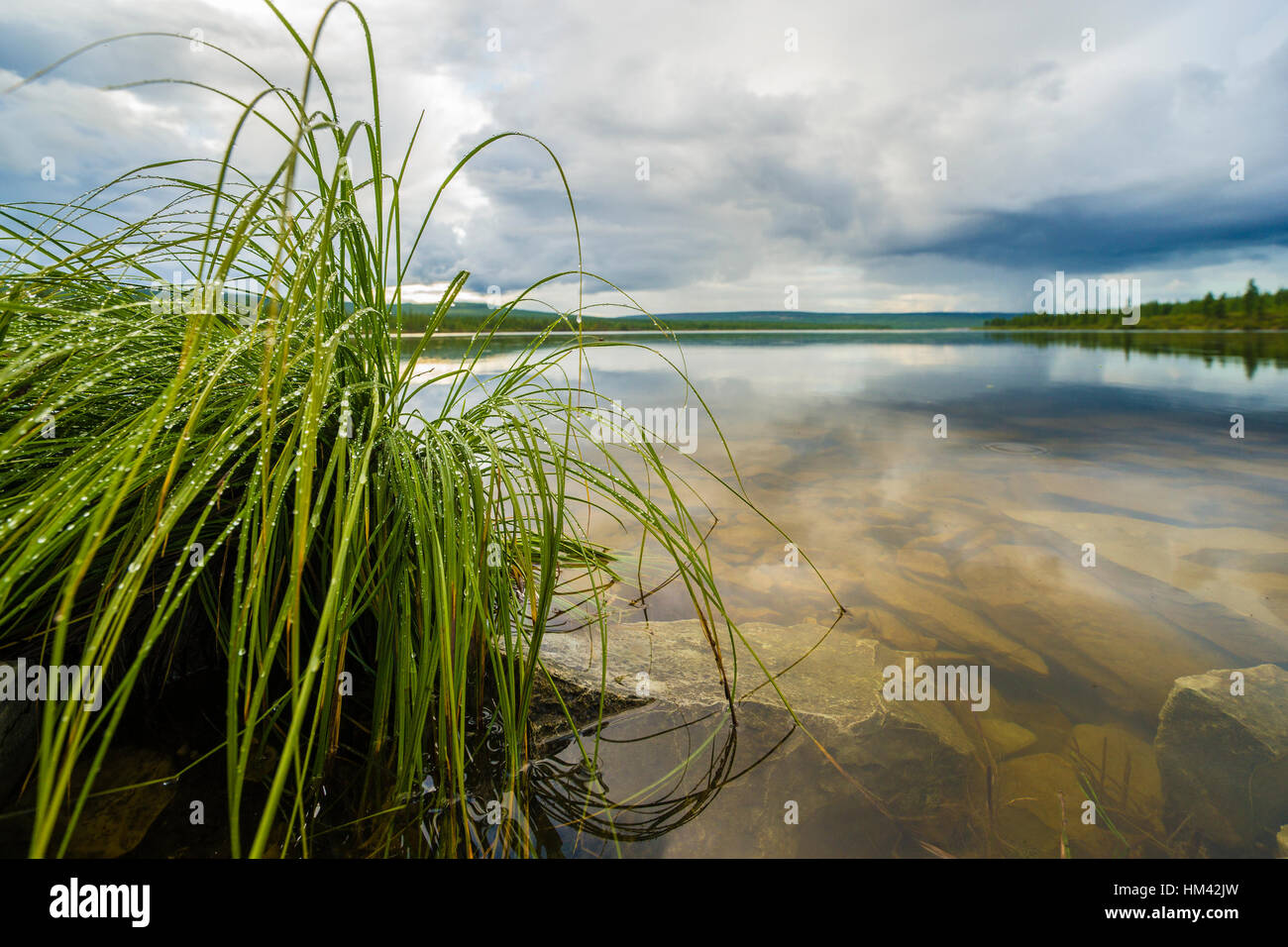 summer landscape with river cloudy sky forest and sun canada Stock ...