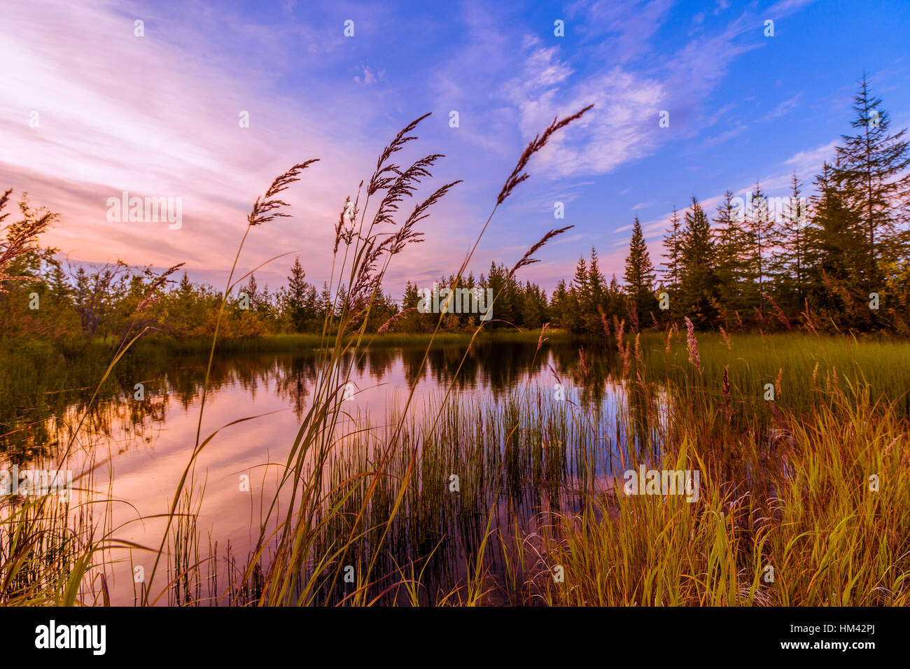 summer landscape with river cloudy sky forest and sun canada Stock ...