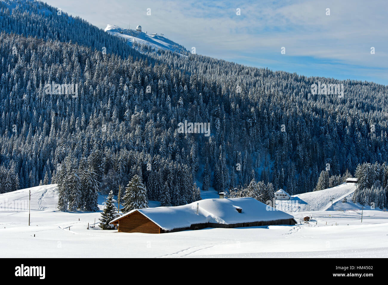 Winter landscape at Col de la Givrine with the peak La Dole in the Swiss Jura mountain range, Saint-Cergue, Vaud, Switzerland Stock Photo