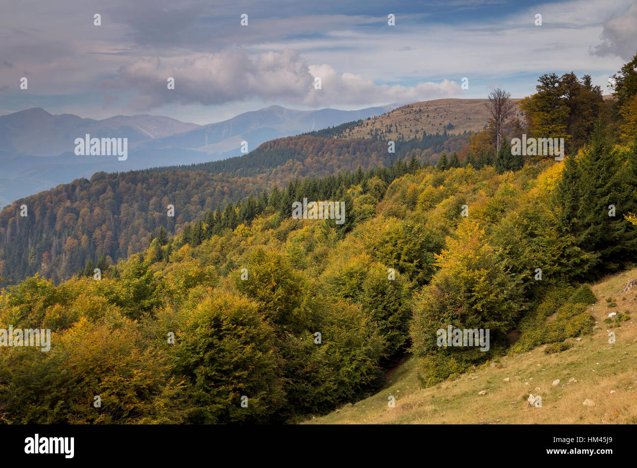 Autumn landscape in the Carpathian Mountains Stock Photo - Alamy