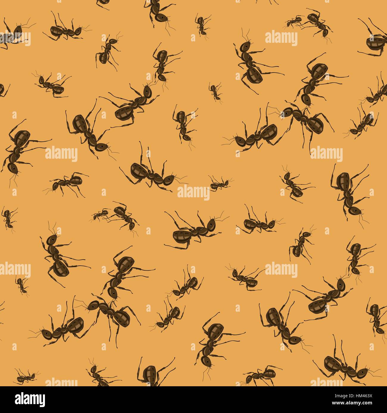 Ant Seamless Pattern Stock Vector