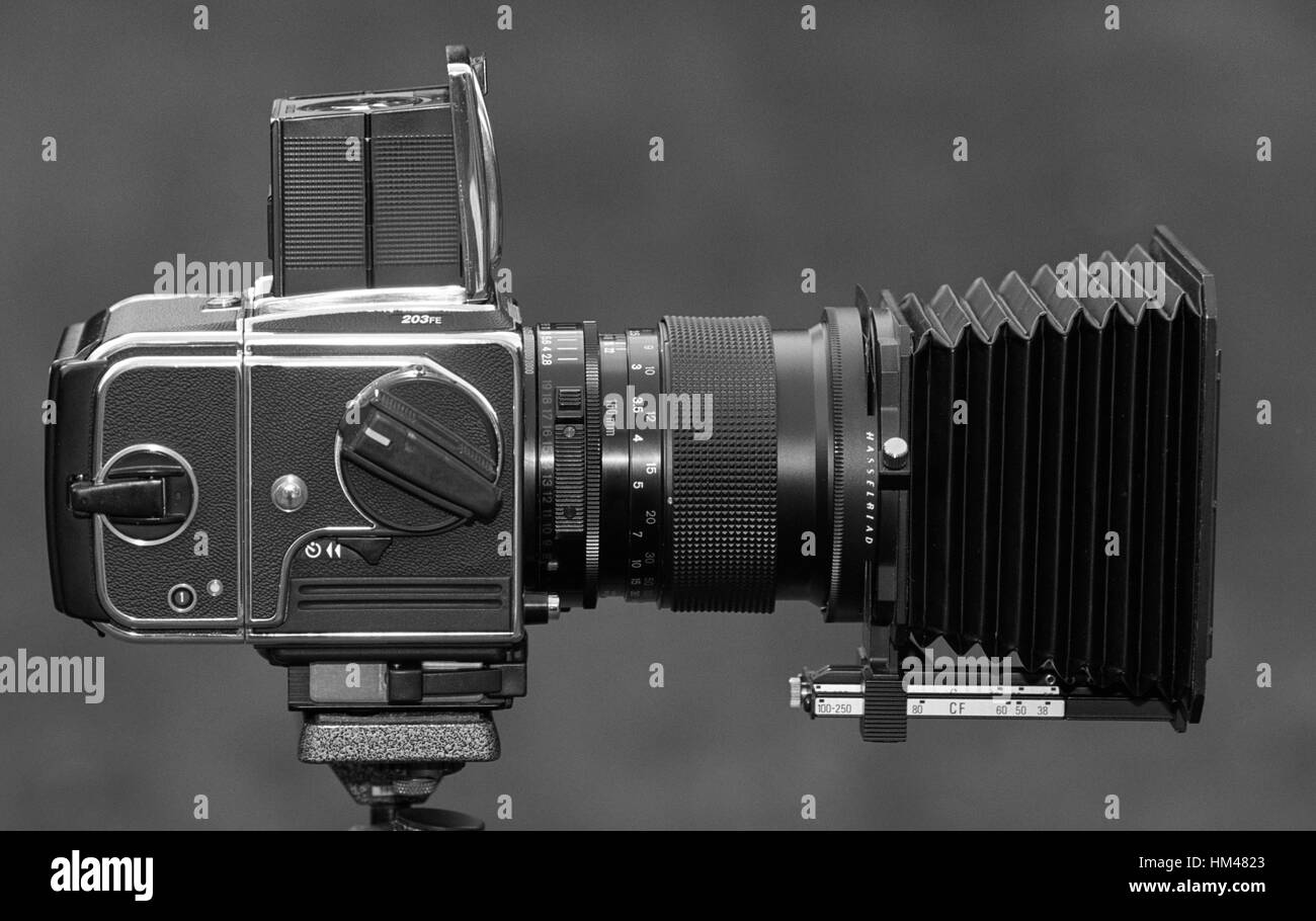 Medium format camera mounted on tripod ready for use - camera Hassleblad 203F with 150mm lens and professional lens hood. Stock Photo