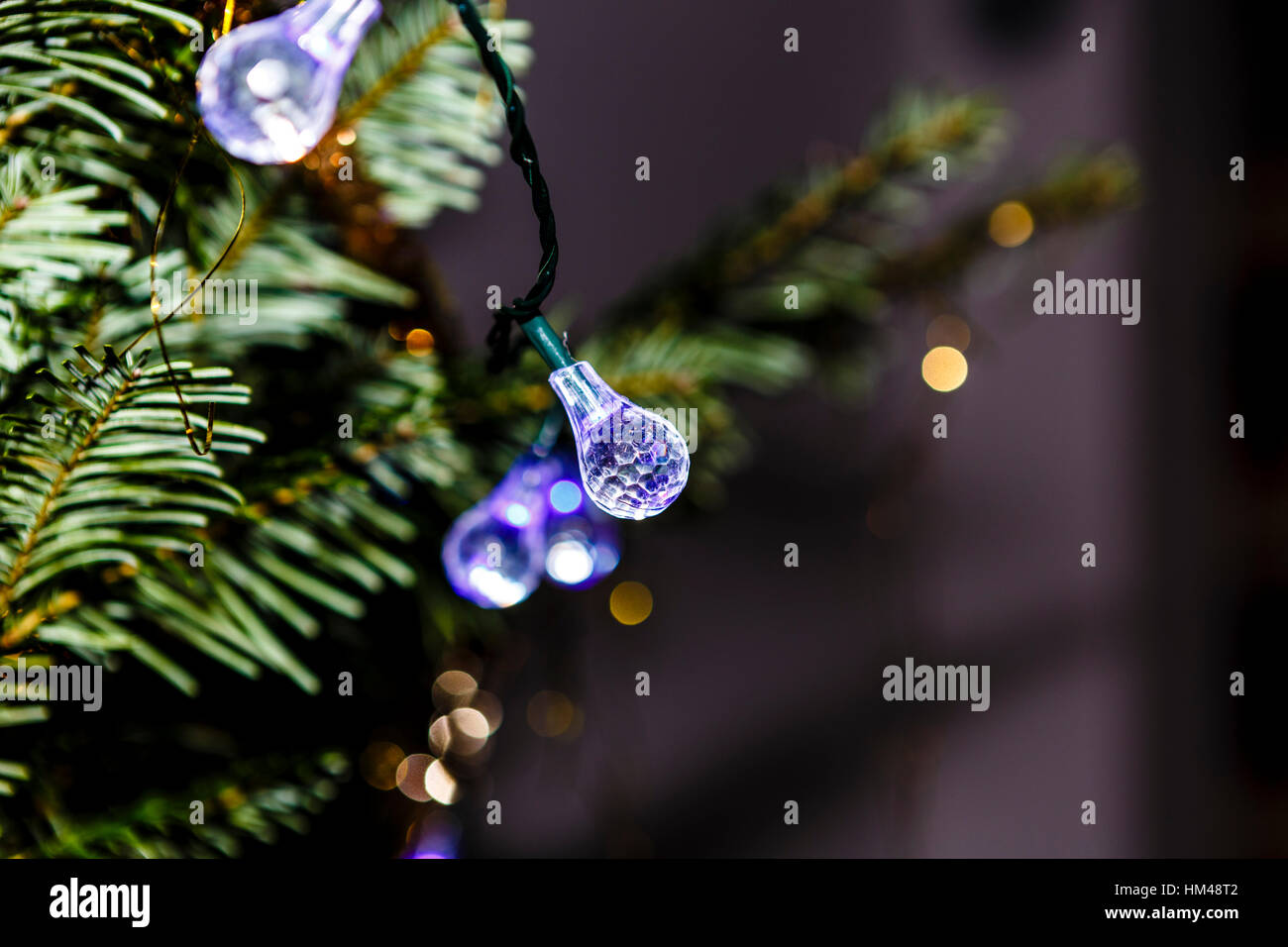 detail of blue christmas light on tree Stock Photo Alamy