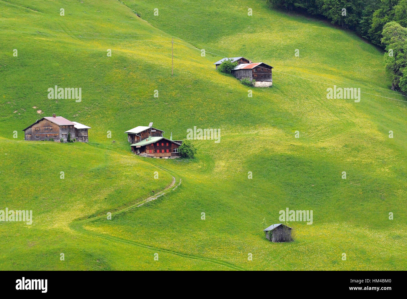 Bucolic scenery in the Austrian countryside. Bregenzerwald in the Austrian Alps. Stock Photo
