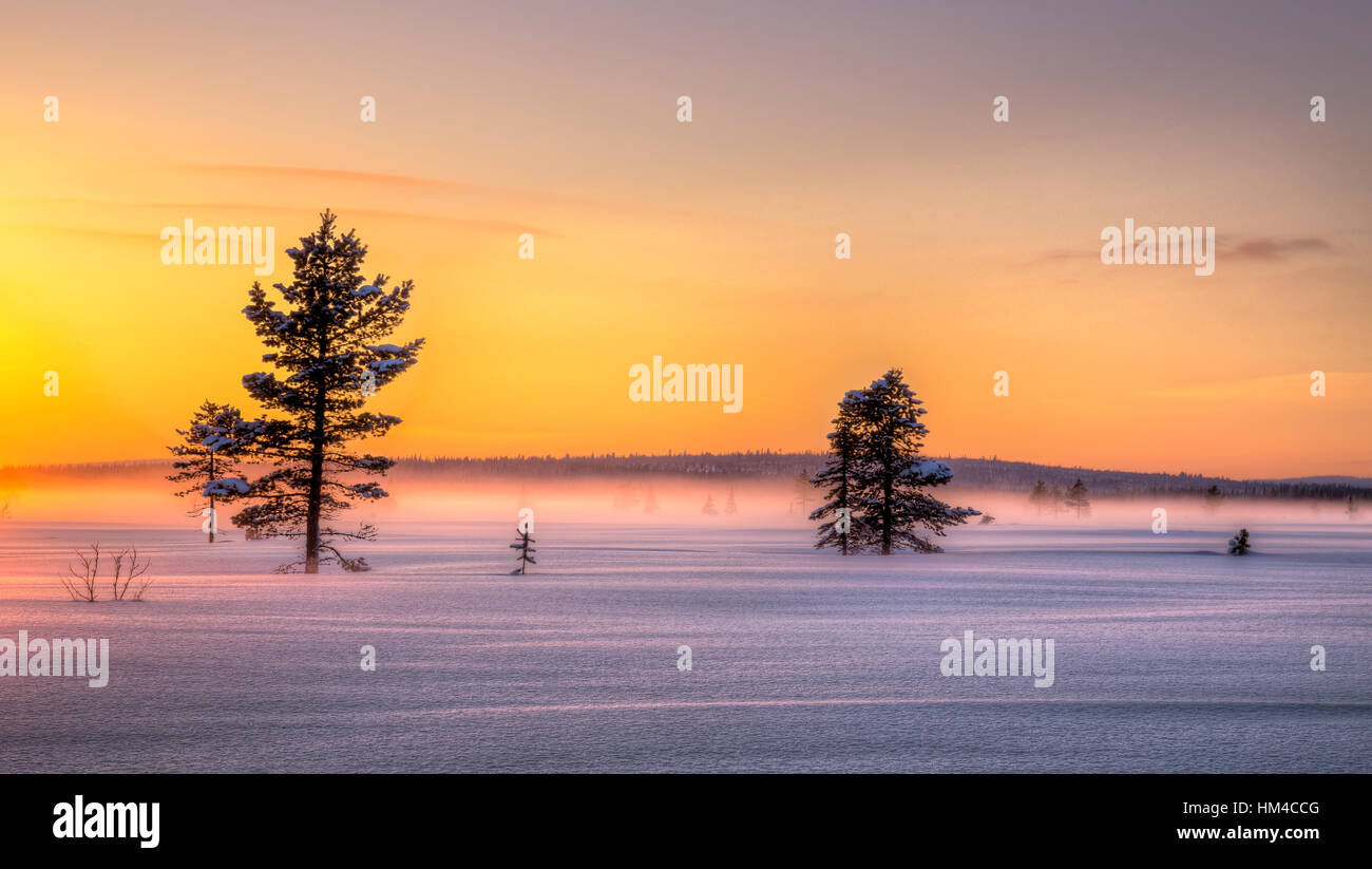 Beautiful Winter Sunset in Northern Sweden. Stock Photo