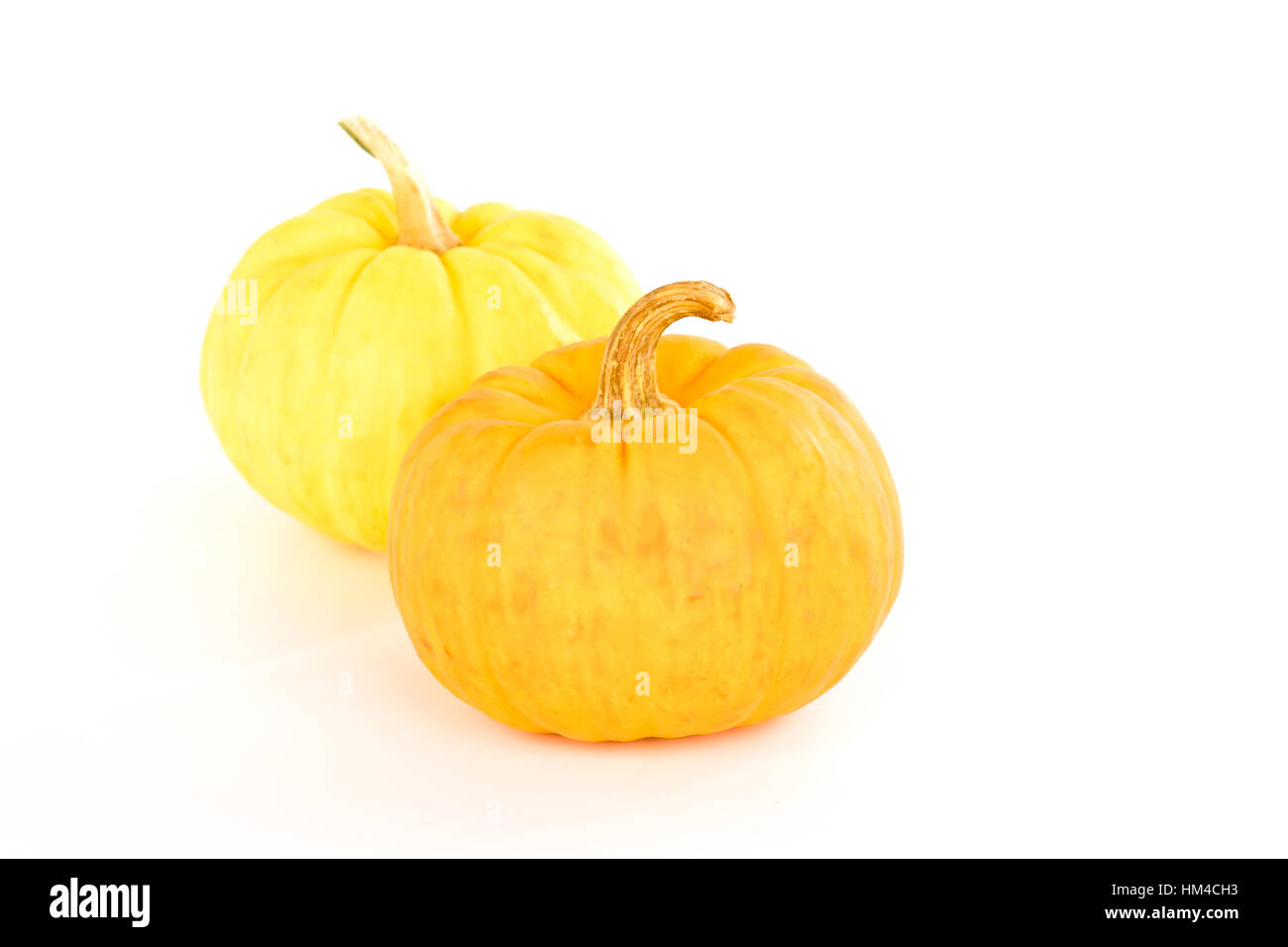 Miniature pumpkins on white background Stock Photo - Alamy