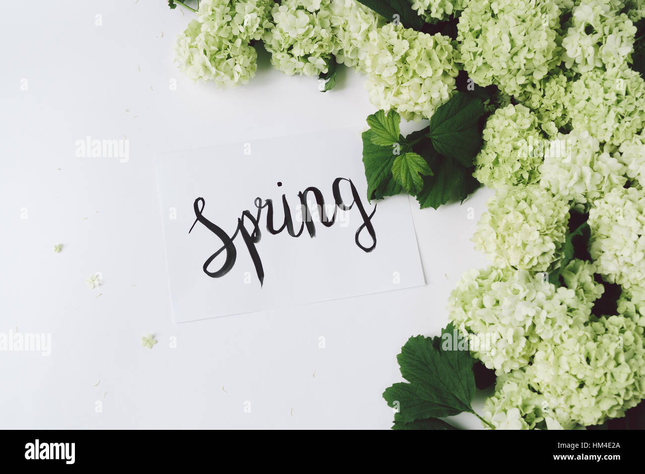 Word spring written flowers hi-res stock photography and images - Alamy