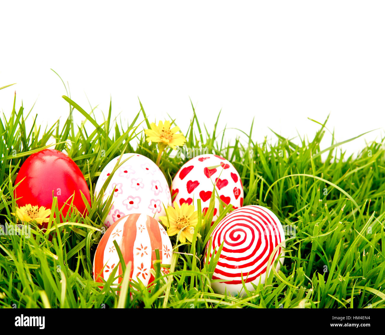 Easter Eggs with flower on Fresh Green Grass over white background ...