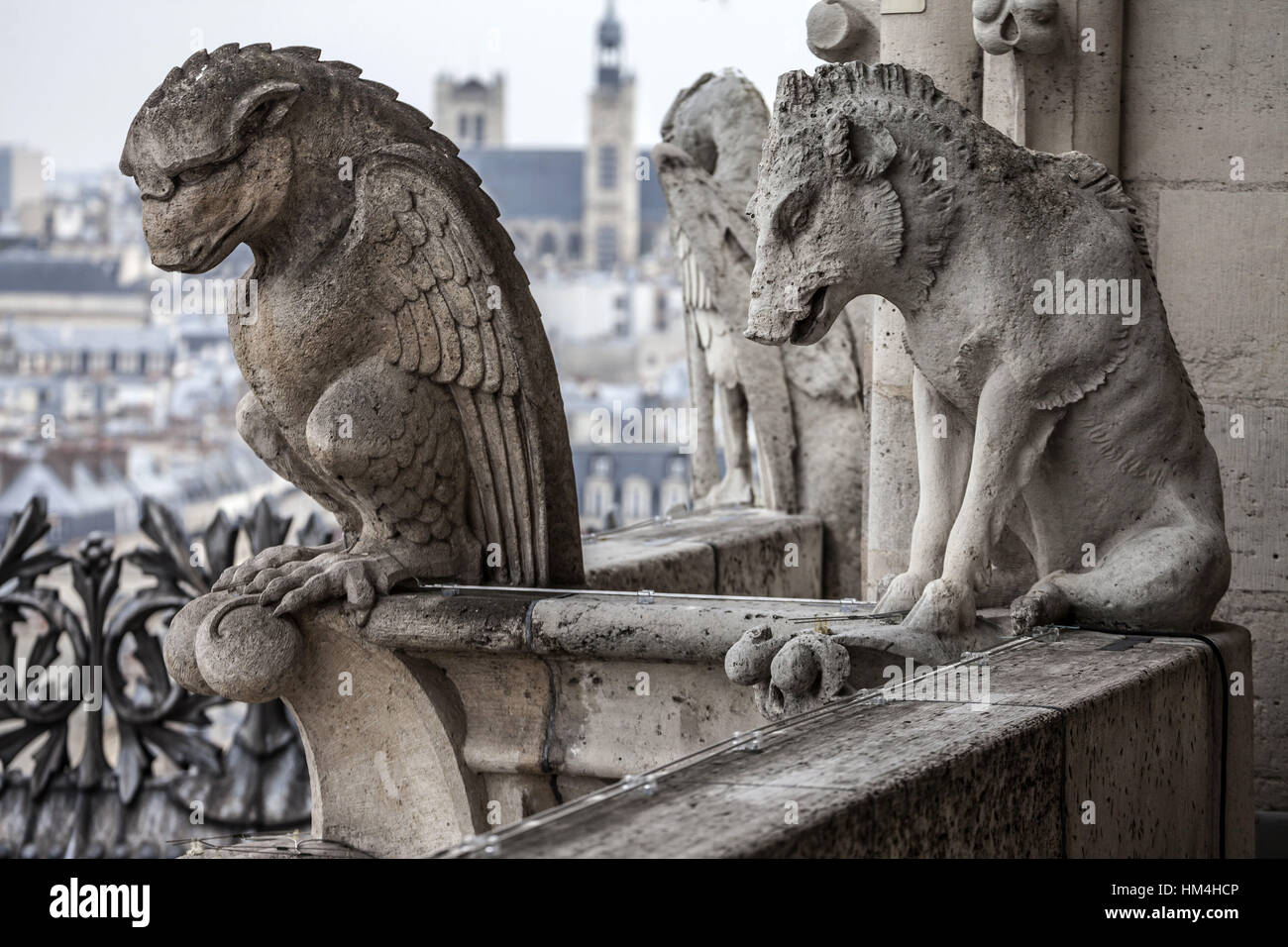 chimeras-of-the-cathedral-of-notre-dame-