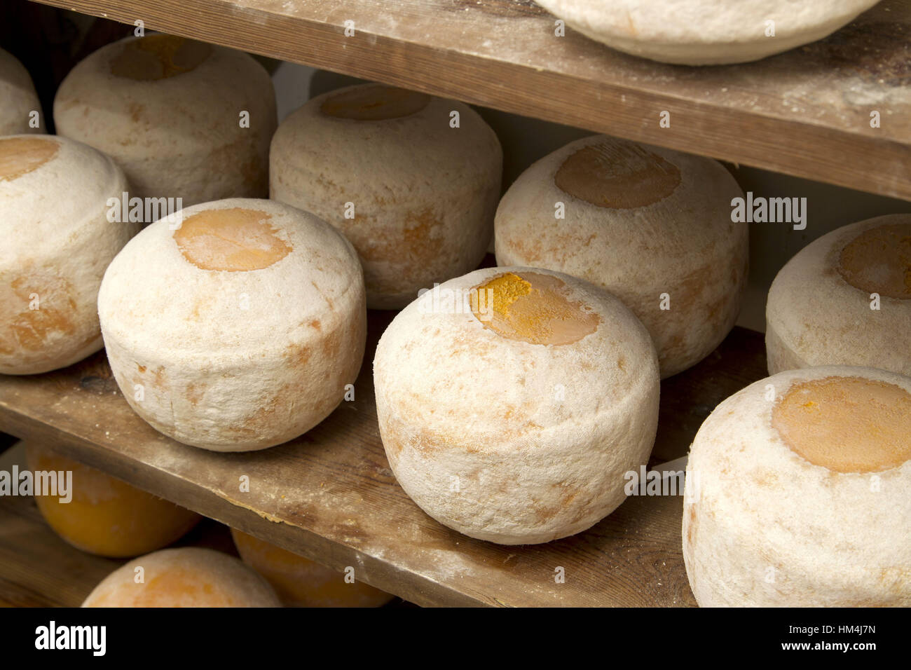 Cheese called Mimolette du Wint, also known as the "vieux Hollande" or "boule de Lille" cheese. Stock Photo