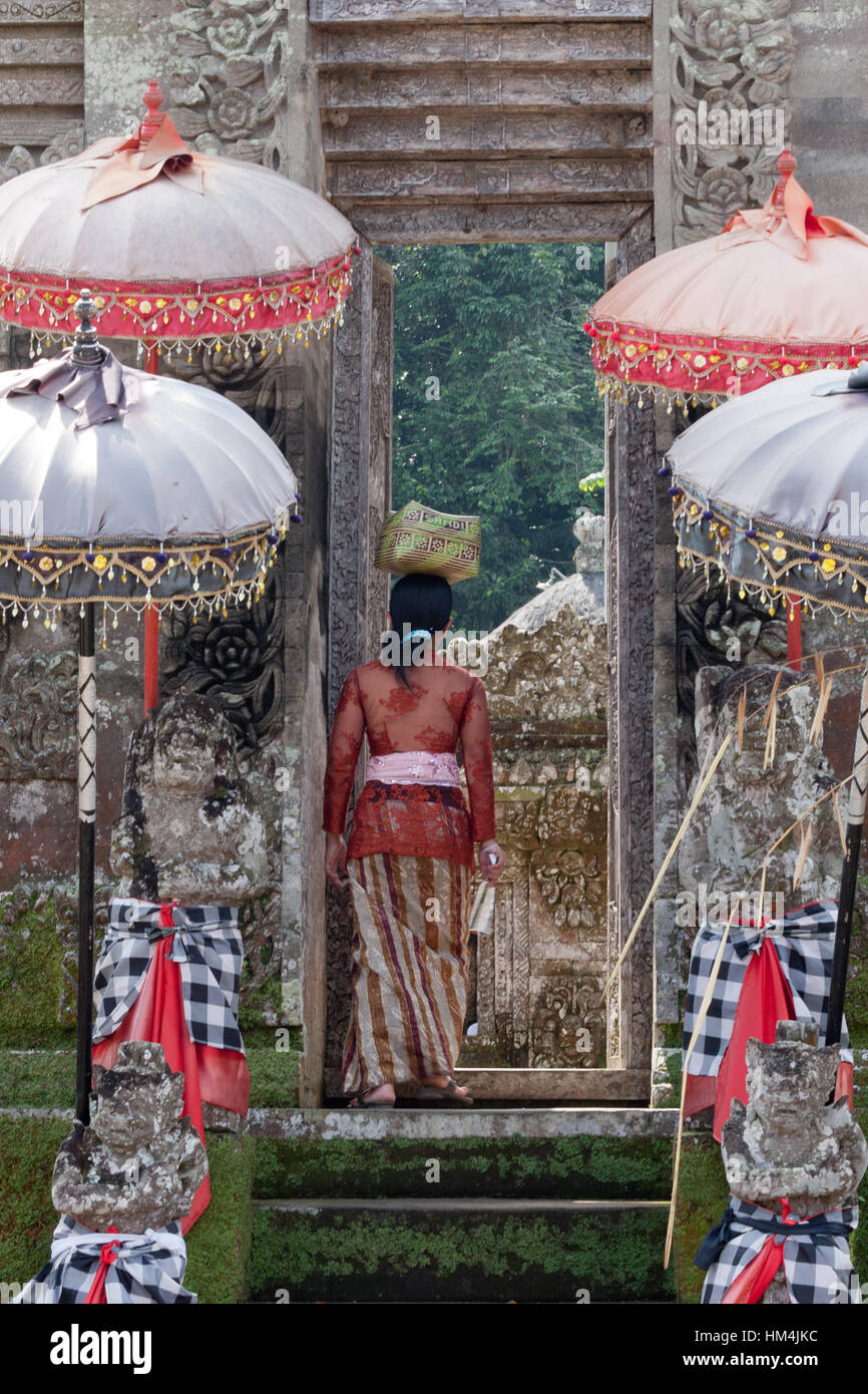 Balinese woman on her way to the temple during the Galungan festival carrying a basket on her head. Stock Photo