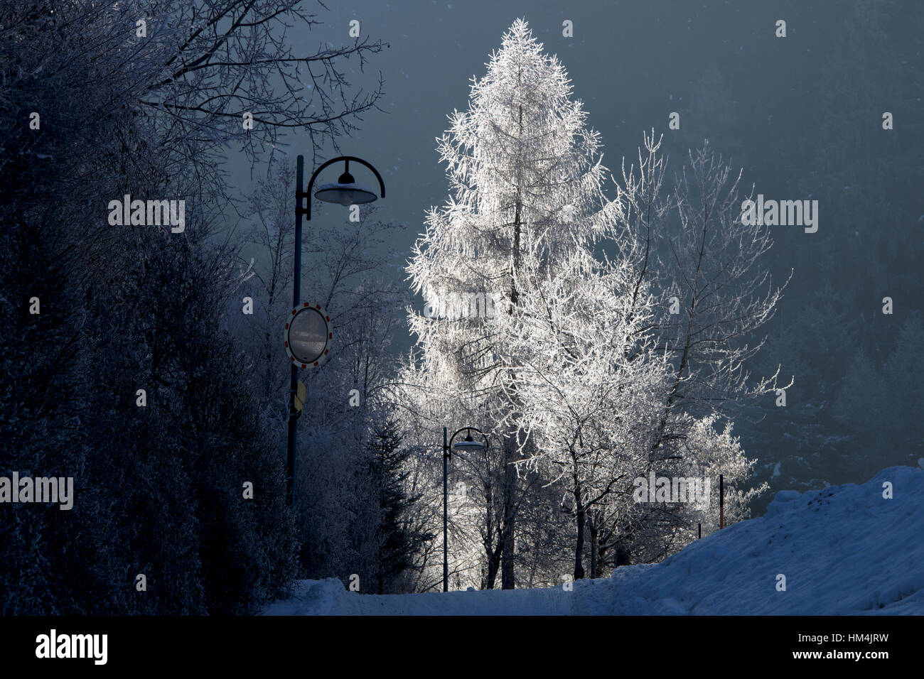 Morning hoar frost in Axams, Tirol, Austria Stock Photo