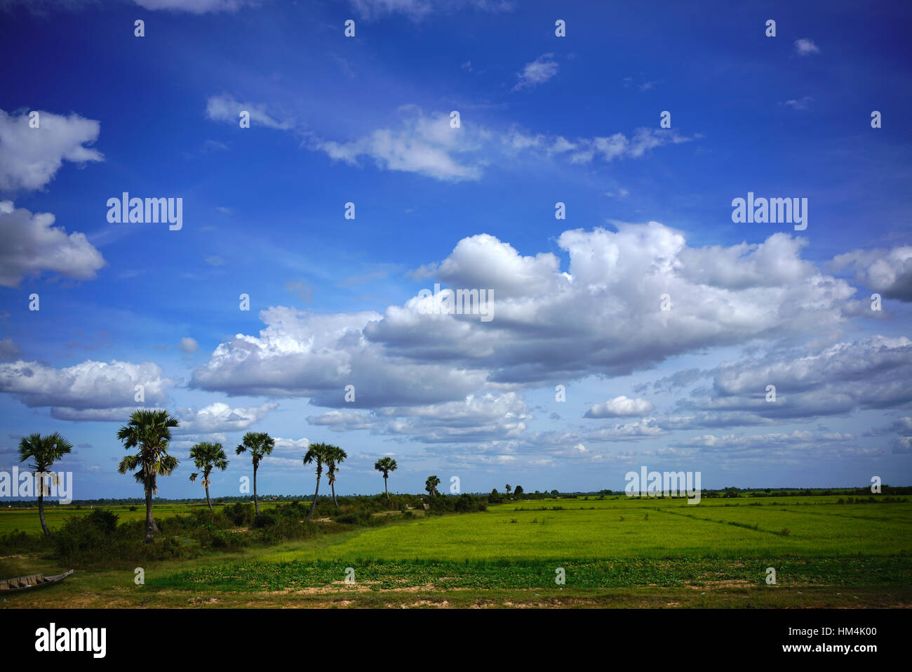 Landscape in Siem Riep , along the road to Tonle Sap lake Stock Photo
