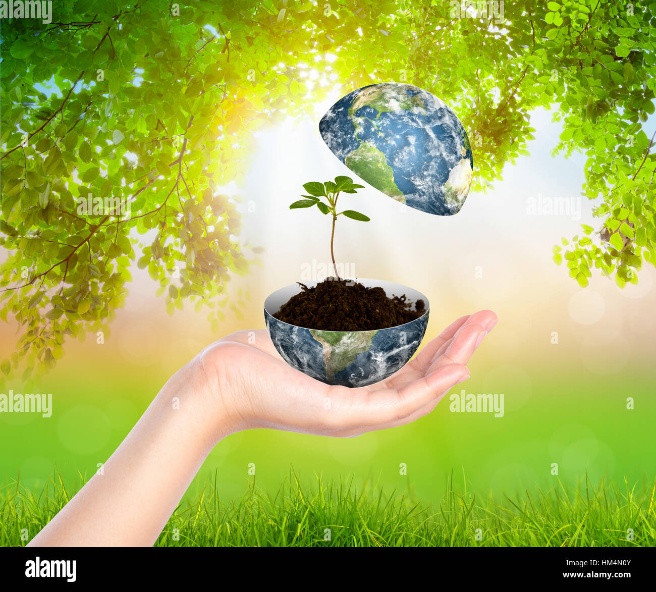 Hands with earth and tree (Elements of this image furnished by NASA ...