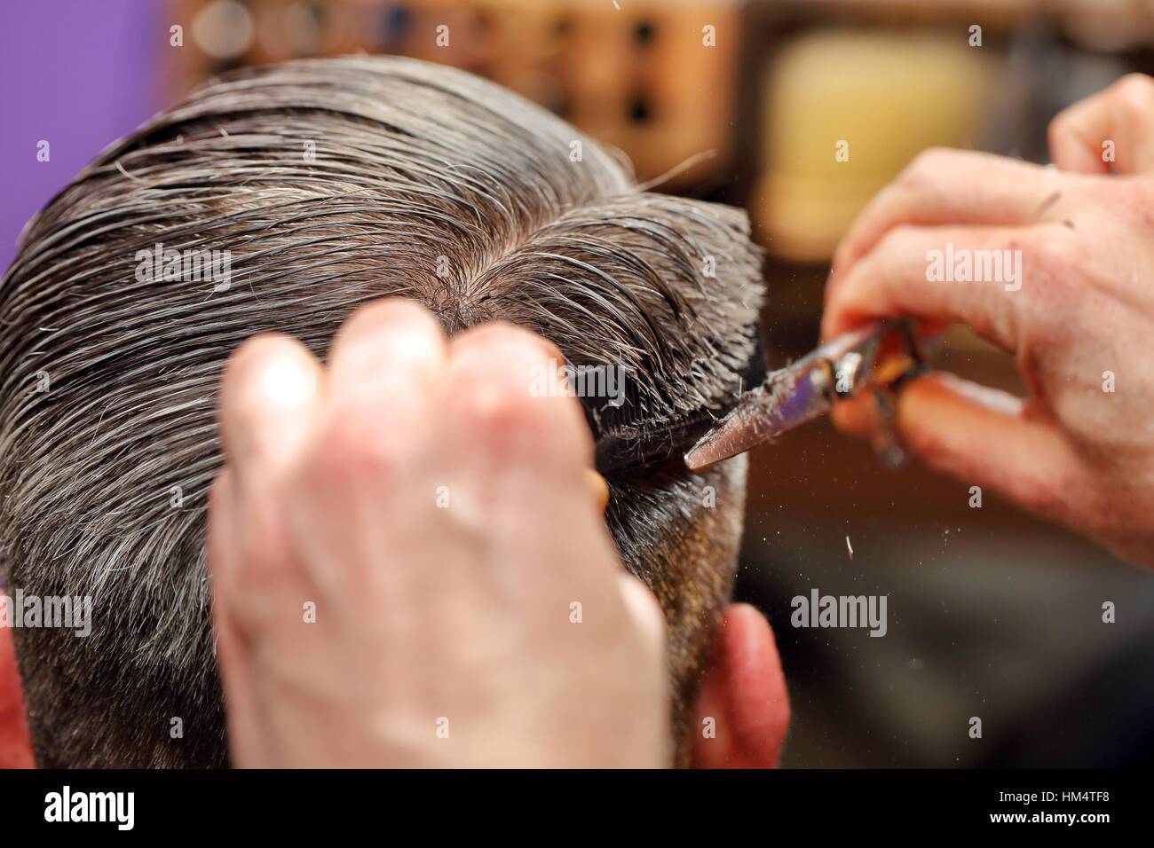 Hairdresser trimming hair with scissors Stock Photo
