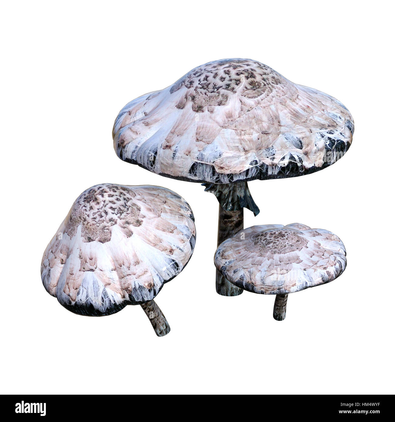 3D rendering of poisonous mushrooms isolated on white background Stock Photo